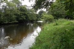 28. Upstream from confluence with River Exe