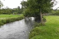 29. Upstream from confluence with River Exe