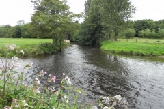 32. Upstream from confluence with River Exe