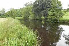 7. Downstream from Brushford Bridge