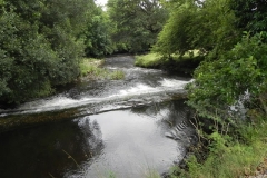 8. Weir for leat to Exebridge Fish Ponds