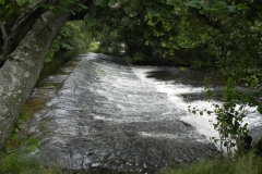 8b. Weir for leat to Exebridge Fish Ponds