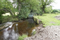 9. Exebridge fish ponds leat start