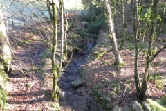 55. Quarme Combe tributary stream