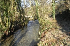 67. Upstream from Enterwell Cottage weir