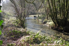 68. Upstream from Enterwell Cottage weir