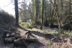 69. Upstream from Enterwell Cottage weir