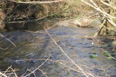 71. Looking upstream from Witheridge Footbridge