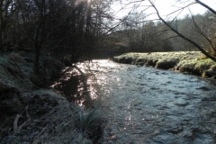 74. Looking downstream from Witheridge Footbridge