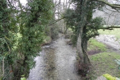 75. Looking upstream from Coppleham Bridge