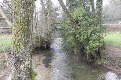 81. Looking upstream from Coppleham footbridge