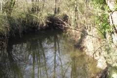 30.-Looking-upstream-from-ROW-Bridge-No.-4505