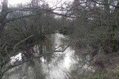 64.-Upstream-from-Feltham-Bridge