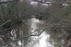 65.-Upstream-from-Feltham-Bridge