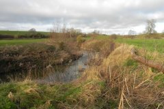 71.-Looking-downstream-from-Feltham-Bridge