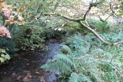 1.-Downstream-from-Aisholt-1