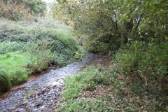 1.-Downstream-from-Aisholt-3