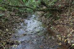 1.-Downstream-from-Aisholt-5