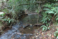 1.-Downstream-from-Aisholt-6
