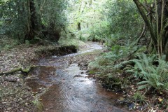 1.-Downstream-from-Aisholt-7