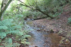 1.-Downstream-from-Aisholt-8