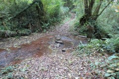 2.-Aisholt-Wood-Ford-2