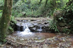 3.-Weir-at-Aisholt-wood-ford-1