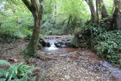 3.-Weir-at-Aisholt-wood-ford-2