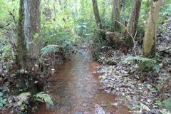 5.-Lowing-past-Long-lease-Plantation-1