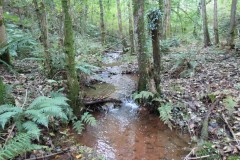 5.-Lowing-past-Long-lease-Plantation-10