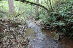 5.-Lowing-past-Long-lease-Plantation-5