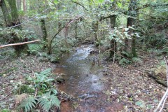 6.-Upstream-from-Hawkridge-Reservoir-1