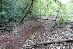 6.-Upstream-from-Hawkridge-Reservoir-11