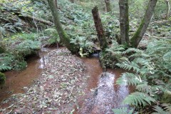 6.-Upstream-from-Hawkridge-Reservoir-2
