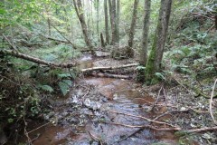 6.-Upstream-from-Hawkridge-Reservoir-3