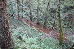 6.-Upstream-from-Hawkridge-Reservoir-5