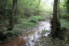 6.-Upstream-from-Hawkridge-Reservoir-6