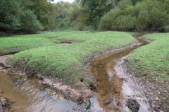 7.-Head-Stream-from-Lydeard-Hill-joins-Peart-Water