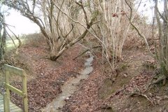 12.-Tributary-Stream-from-FRootbridge
