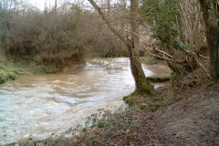 15.-Upstream-from-Darkey-Lane