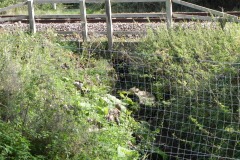 C. Cockhill Bridge to Lovington Lane Bridge