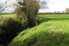 17.-Looking-Downstream-from-Cary-Moor-Accomodation-Bridge-D