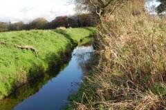 18.-River-View-downstream-from-Cary-Moor-Accomodation-Bridge-D