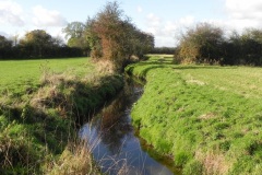 19.-River-View-downstream-from-Cary-Moor-Accomodation-Bridge-D