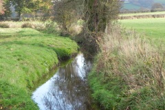 20.-Looking-upstream-from-Cary-Moor-ROW-Bridge-No.252