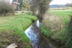 21.-Looking-upstream-from-Cary-Moor-ROW-Bridge-No.252