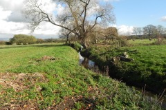 26.-Looking-upstream-from-Cary-Moor-ROW-Bridge-No.2770