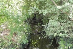 11.Looking-Upstream-from-Bellas-Bridge