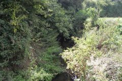 17.Looking-upstream-from-Festival-Bridge-A