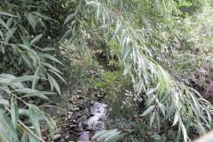 18.-Looking-Upstream-from-Festival-Bridge-A